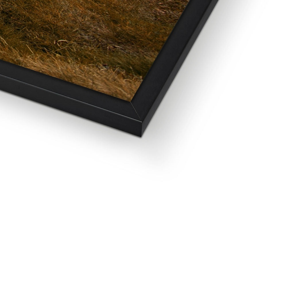 Cliffs of Moher Framed Print