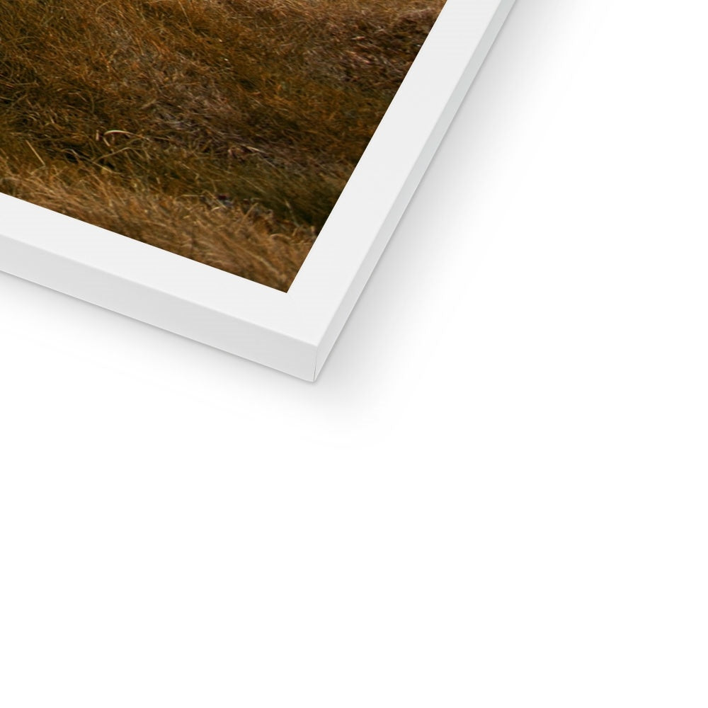 Cliffs of Moher Framed Print