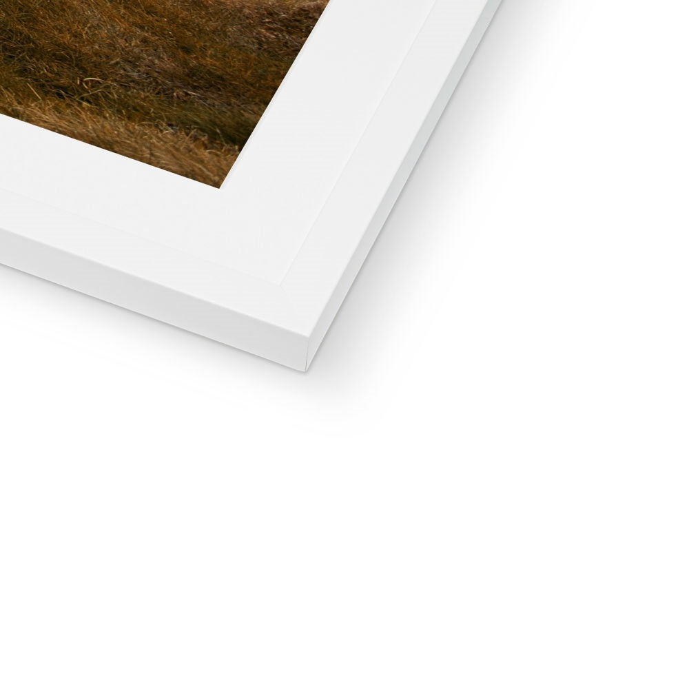 Cliffs of Moher Framed & Mounted Print