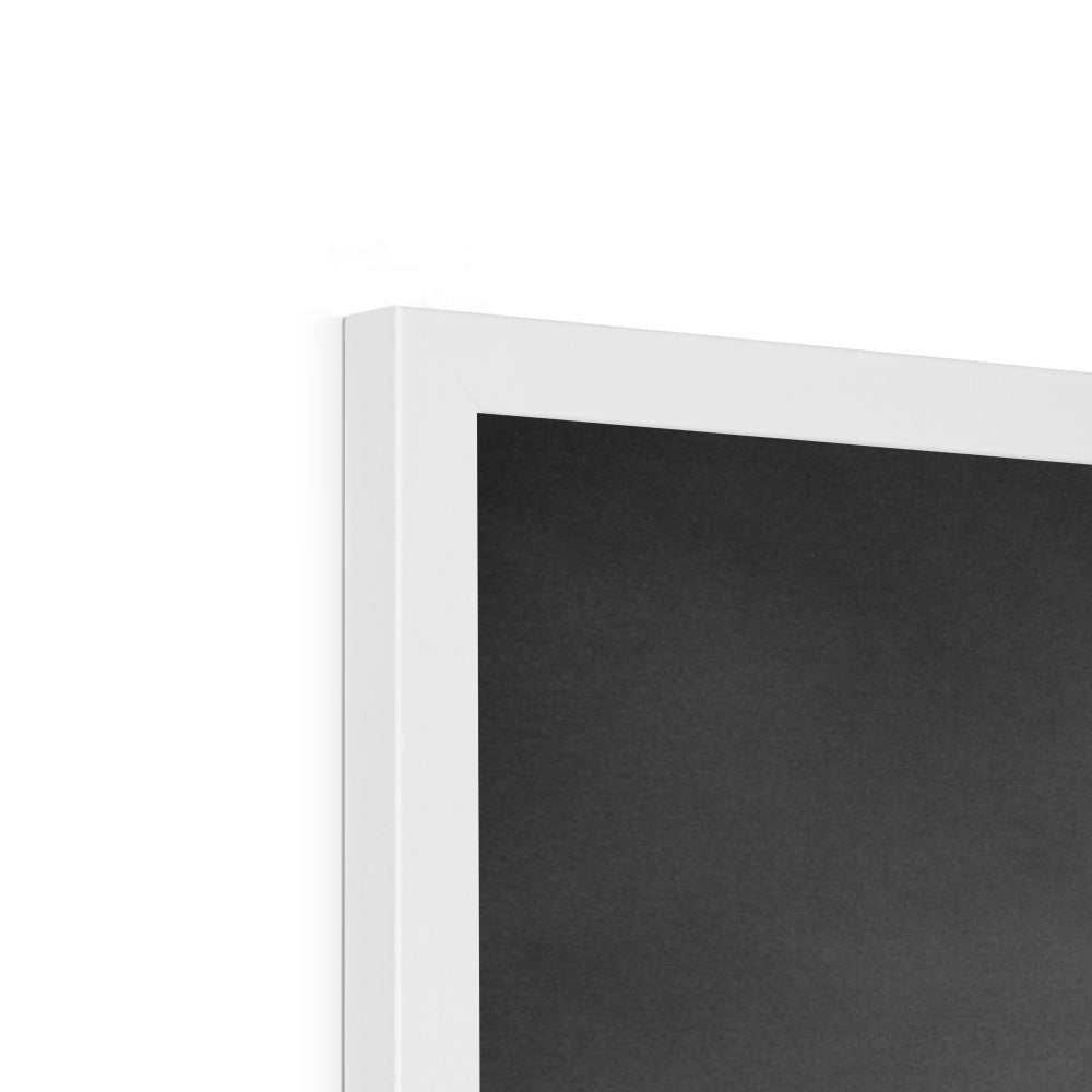 Venice Basilica B&W Framed Print