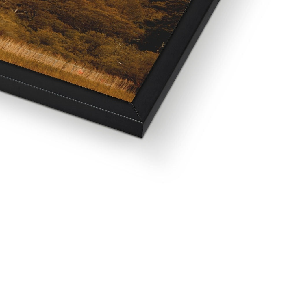 Killarney Castle Framed Print