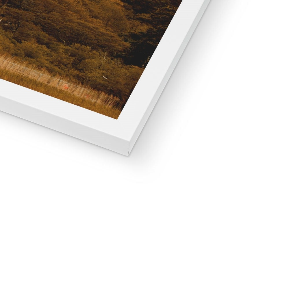 Killarney Castle Framed Print