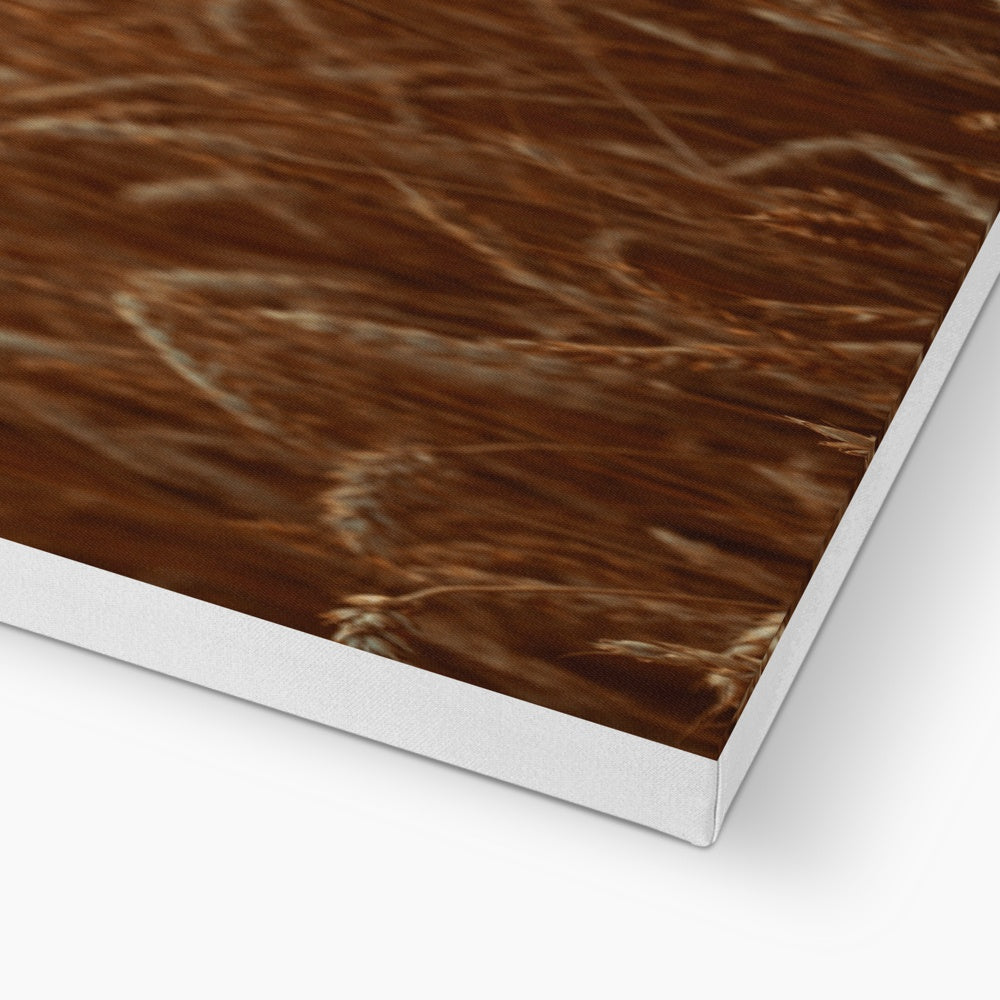 Fields of Gold Canvas