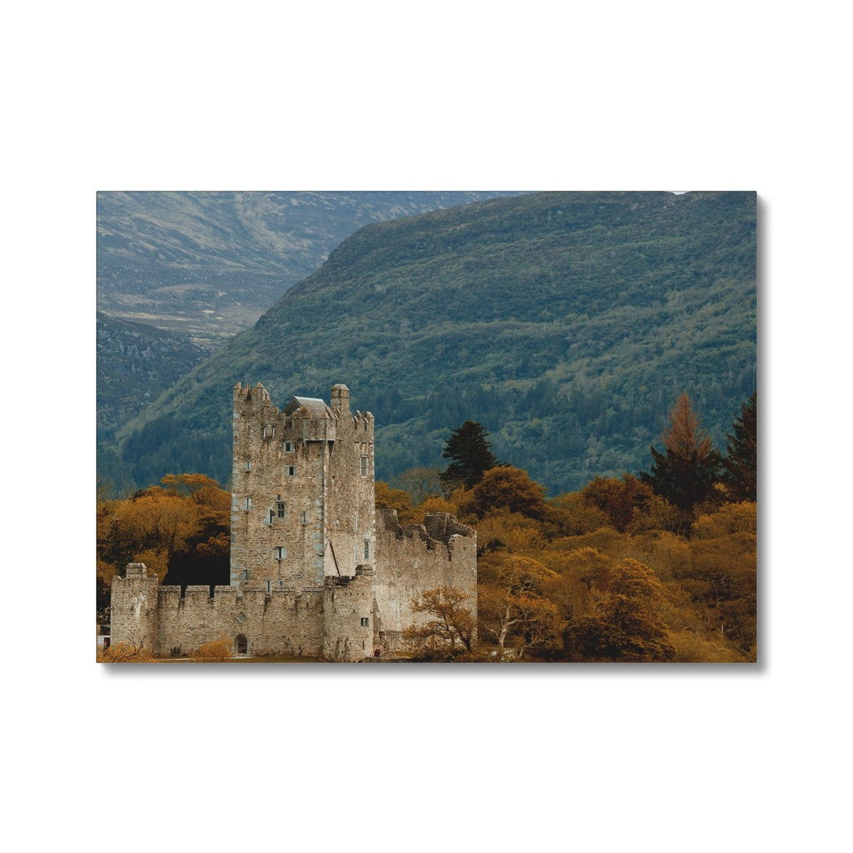 Killarney Castle Canvas