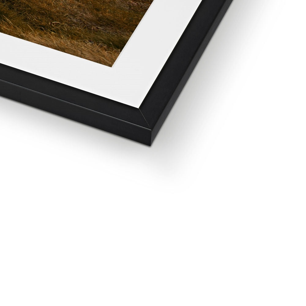 Cliffs of Moher Framed & Mounted Print