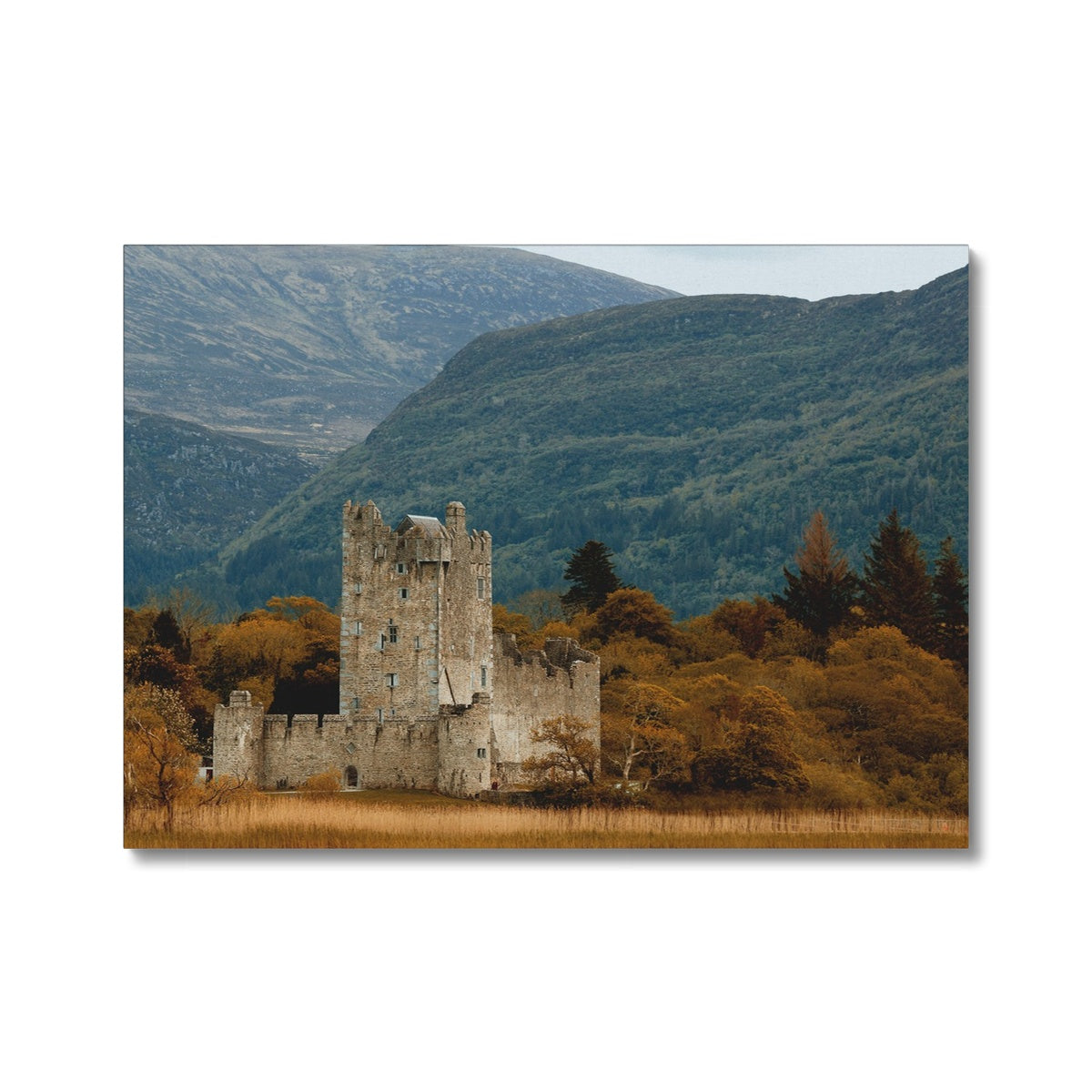 Killarney Castle Canvas