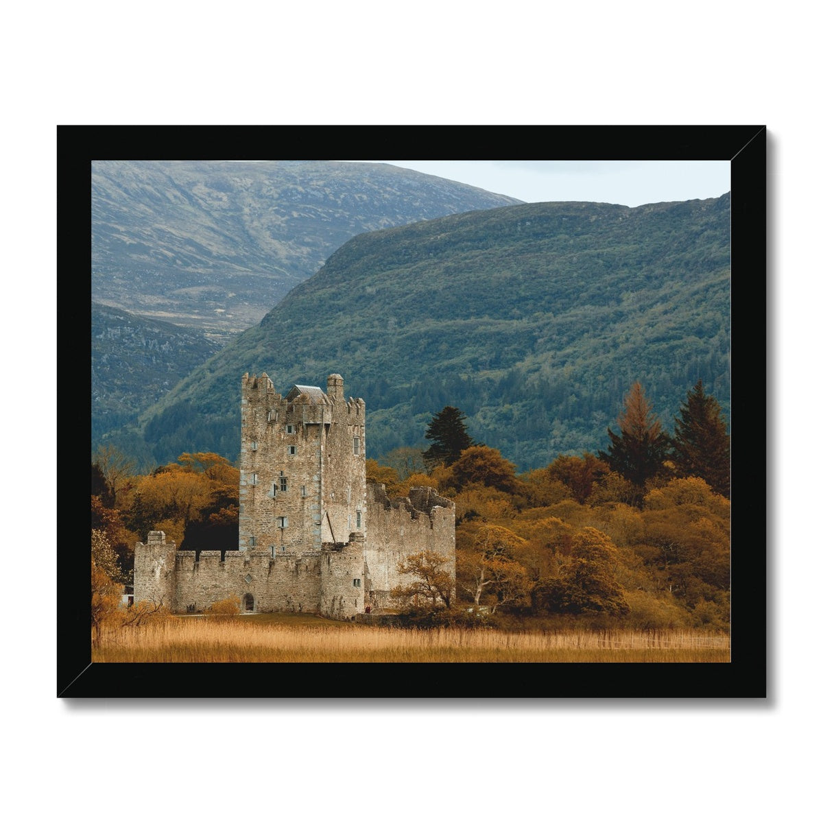 Killarney Castle Framed Print